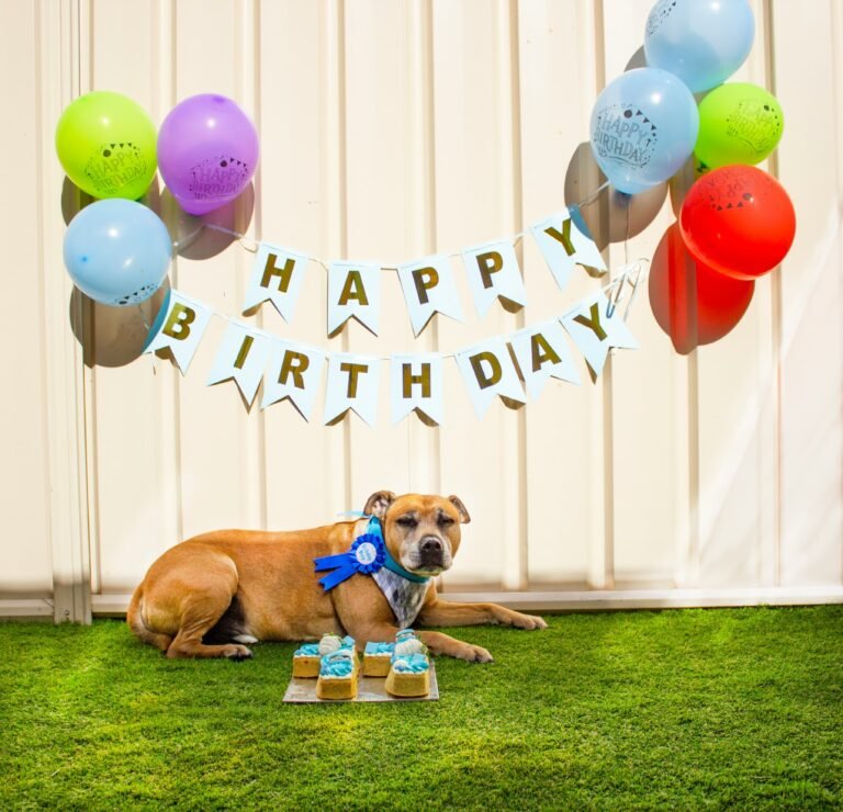 How to Throw the Perfect Dog Birthday Party (Complete Guide)