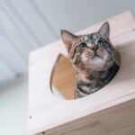 Photo by Jackie Best on Unsplash