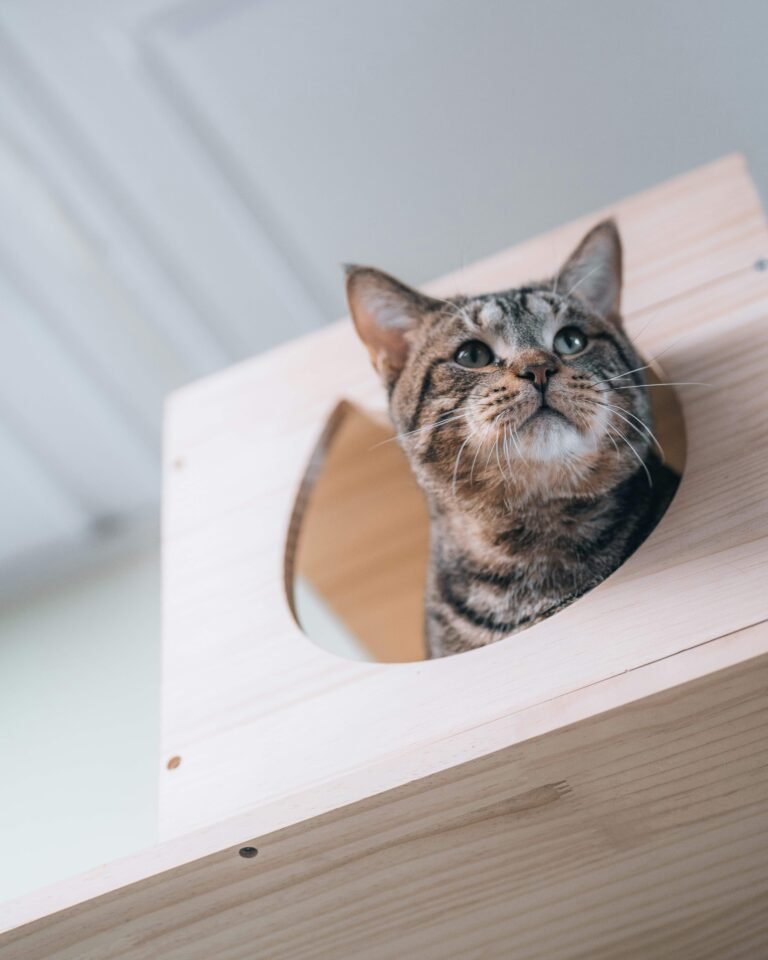 Photo by Jackie Best on Unsplash